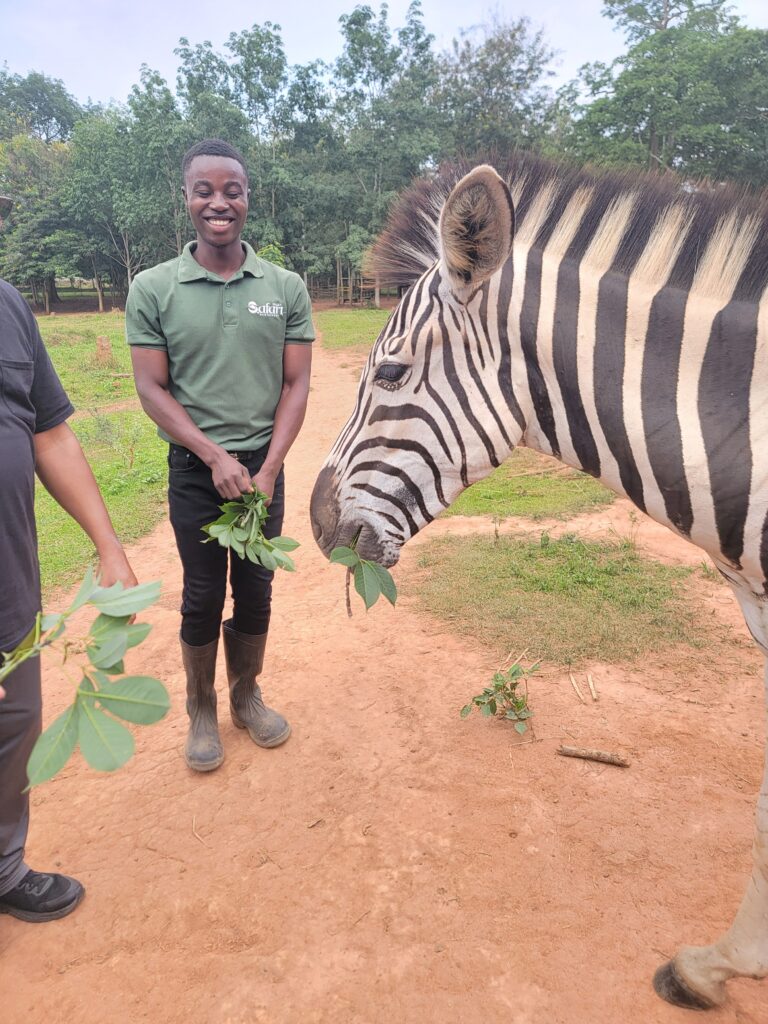 Safari Valley Eco Resort