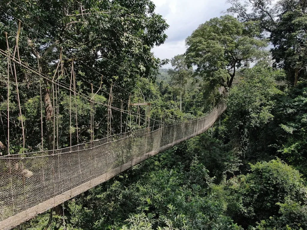 Kakum National Park