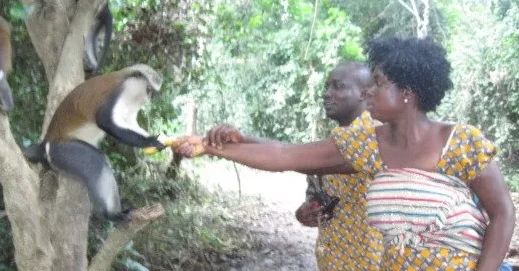 Tafi Atome Village