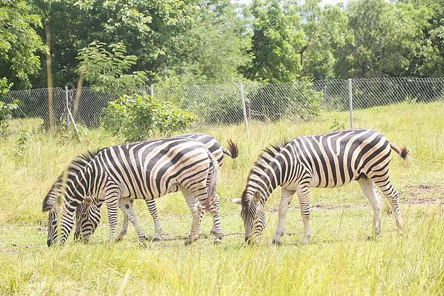 Shai Hills Wildlife Reserve